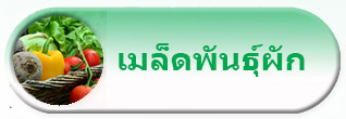 เมล็ดพันธุ์ผัก เมล็ดพันธุ์ข้าวโพดข้าวเหนียว