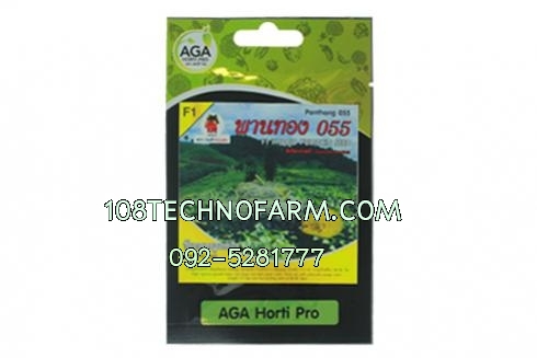 ฟักทองพานทอง055 2กรัม