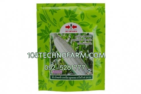 ข้าวโพดข้าวเหนียวหวานสวีทไวท์ 25 200g/1000g