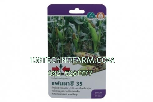 ข้าวโพดข้าวเหนียวแฟนตาซี35 1 Kg./50 เมล็ด