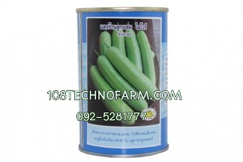 แตงร้าน ไอโวรี(ลูกขาว) 100 กรัม