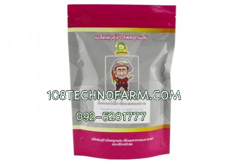 ข้าวโพดข้าวเหนียว เทียนพลอยสยาม 200 กรัม